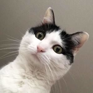 Meet your Posher, Audrey